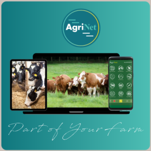 Website blog (12) download herdapp