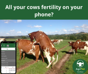 All cow fertility on phone All cow fertility on phone