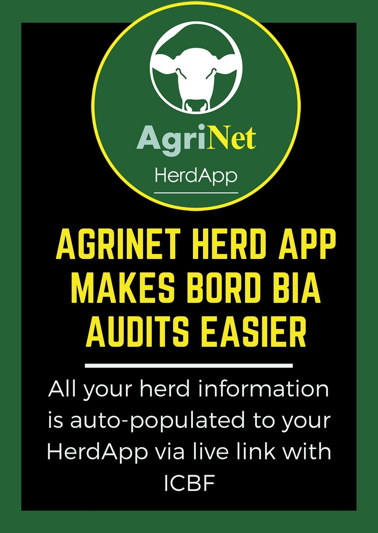 bord bia audits