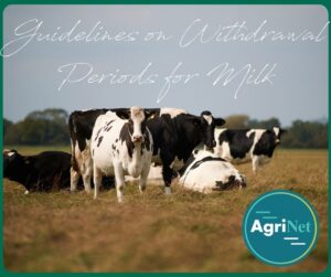 An app like none udder (1) managing withdrawal periods cows