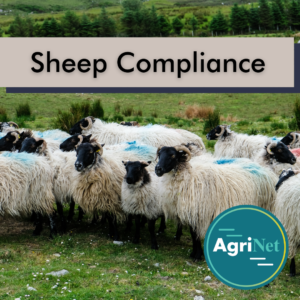 2 Sheep compliance