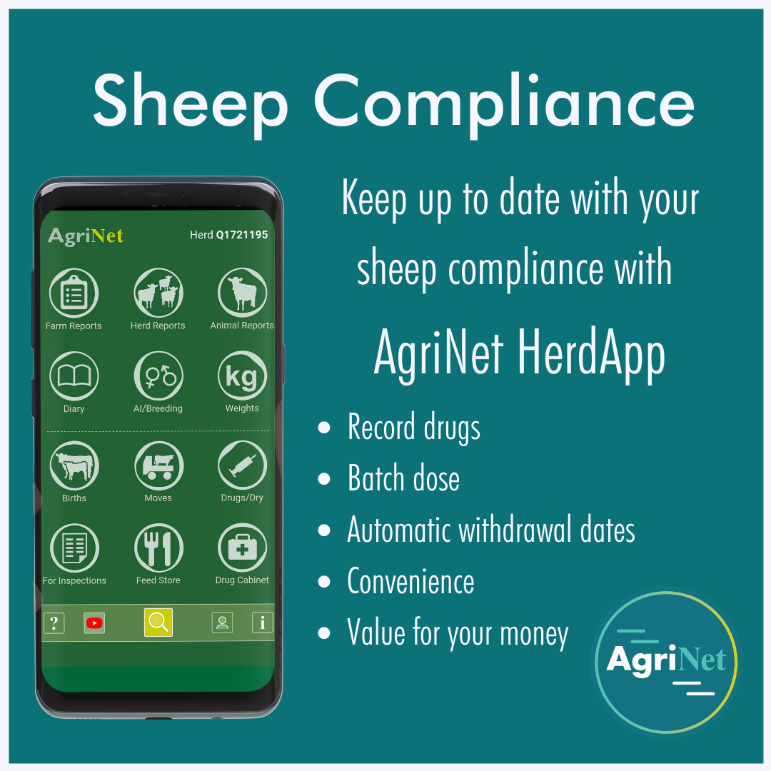 Podcast Promotion Instagram Post Sheep compliance