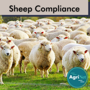 sheep compliance (3) sheep compliance (3)