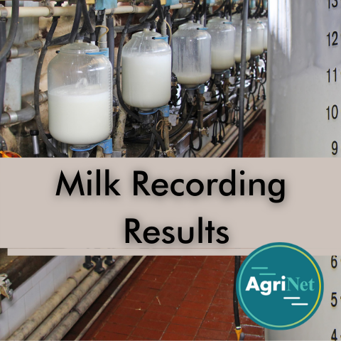 milk recording